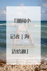 潮闻小记者｜海边拾趣
