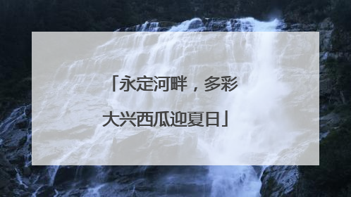 永定河畔，多彩大兴西瓜迎夏日