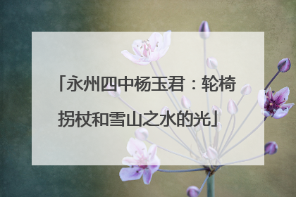 永州四中杨玉君：轮椅拐杖和雪山之水的光
