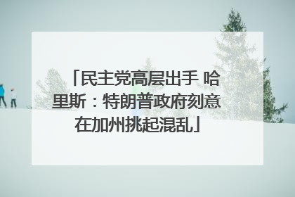 民主党高层出手 哈里斯：特朗普政府刻意在加州挑起混乱