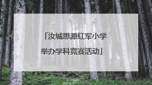 汝城思源红军小学举办学科竞赛活动
