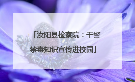汝阳县检察院：干警禁毒知识宣传进校园