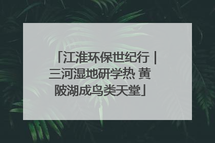 江淮环保世纪行｜三河湿地研学热 黄陂湖成鸟类天堂