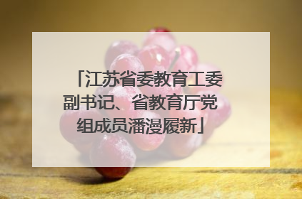 江苏省委教育工委副书记、省教育厅党组成员潘漫履新