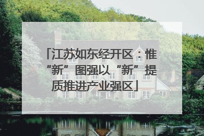 江苏如东经开区：惟“新”图强以“新”提质推进产业强区