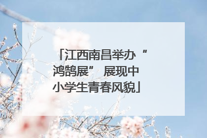 江西南昌举办“鸿鹄展” 展现中小学生青春风貌