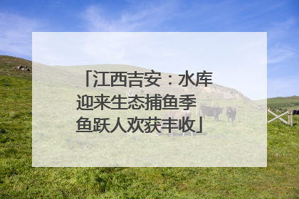 江西吉安：水库迎来生态捕鱼季 鱼跃人欢获丰收