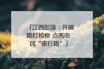 江西彭泽：开展路灯检修 点亮市民“夜行路”