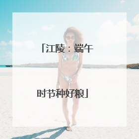 江陵：端午时节种好粮