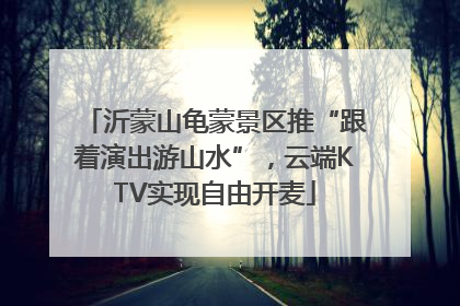 沂蒙山龟蒙景区推“跟着演出游山水”，云端KTV实现自由开麦