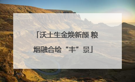 沃土生金焕新颜 粮烟融合绘“丰”景