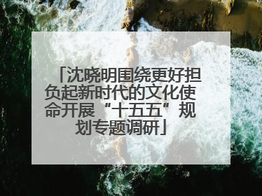 沈晓明围绕更好担负起新时代的文化使命开展“十五五”规划专题调研