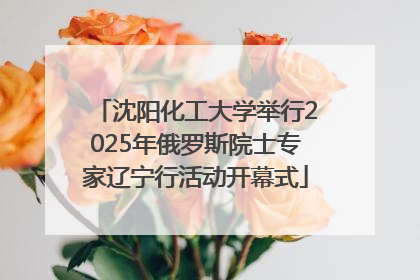 沈阳化工大学举行2025年俄罗斯院士专家辽宁行活动开幕式