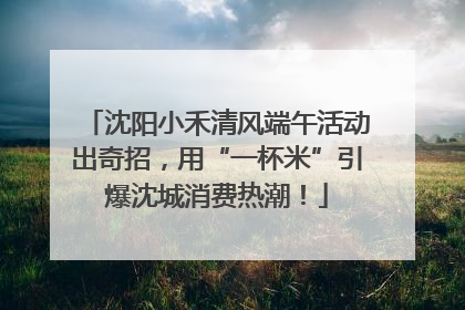 沈阳小禾清风端午活动出奇招，用“一杯米”引爆沈城消费热潮！