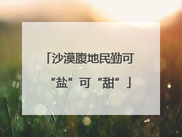 沙漠腹地民勤可“盐”可“甜”