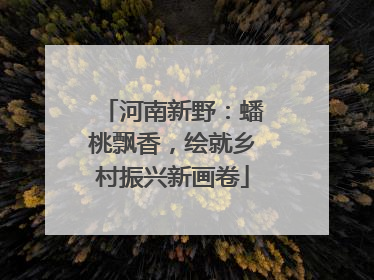 河南新野：蟠桃飘香，绘就乡村振兴新画卷