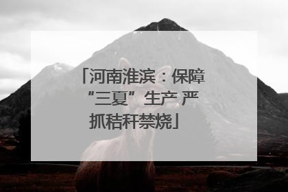 河南淮滨：保障“三夏”生产 严抓秸秆禁烧