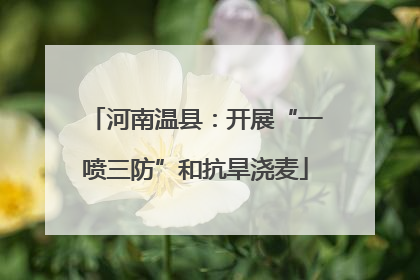 河南温县：开展“一喷三防”和抗旱浇麦