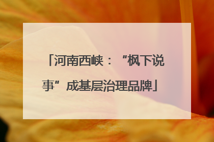 河南西峡：“枫下说事”成基层治理品牌