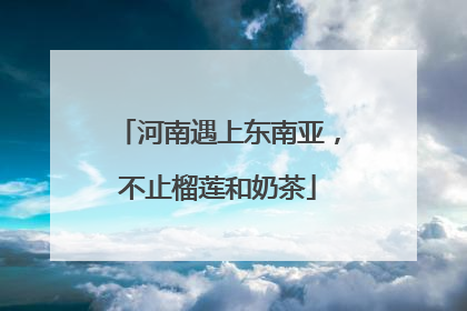 河南遇上东南亚，不止榴莲和奶茶