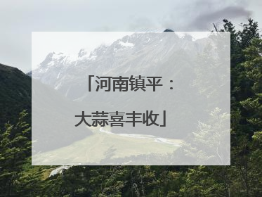 河南镇平：大蒜喜丰收