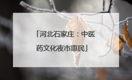 河北石家庄：中医药文化夜市惠民