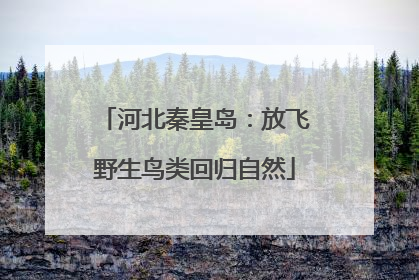河北秦皇岛：放飞野生鸟类回归自然