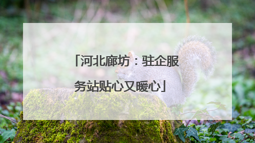 河北廊坊：驻企服务站贴心又暖心