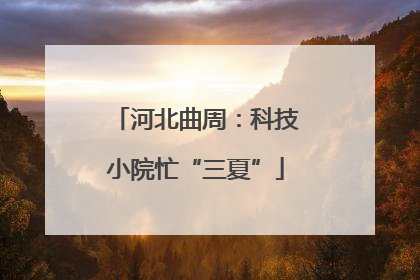 河北曲周：科技小院忙“三夏”