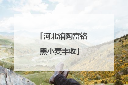 河北馆陶富铬黑小麦丰收