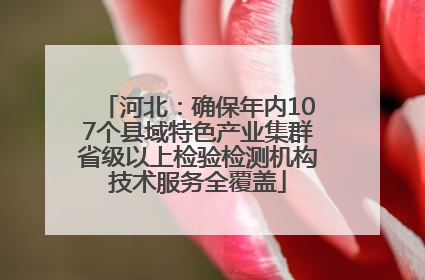 河北：确保年内107个县域特色产业集群省级以上检验检测机构技术服务全覆盖