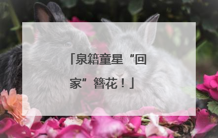 泉籍童星“回家”簪花！
