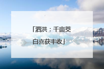 泗洪：千亩茭白喜获丰收