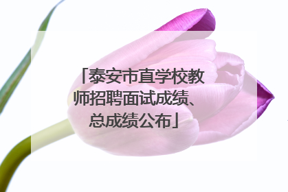 泰安市直学校教师招聘面试成绩、总成绩公布