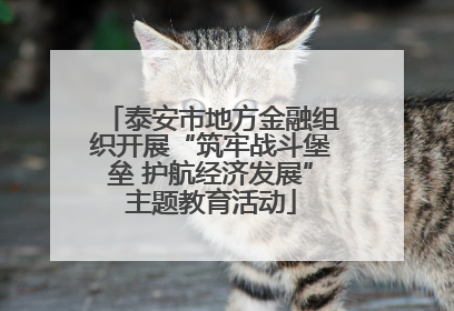 泰安市地方金融组织开展“筑牢战斗堡垒 护航经济发展”主题教育活动