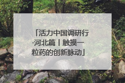 活力中国调研行·河北篇丨触摸一粒药的创新脉动