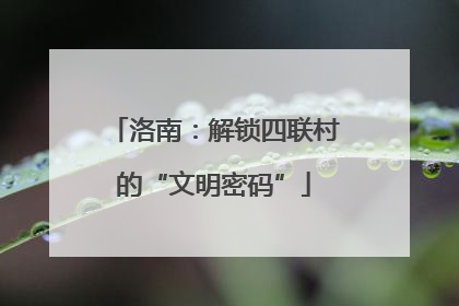 洛南：解锁四联村的“文明密码”