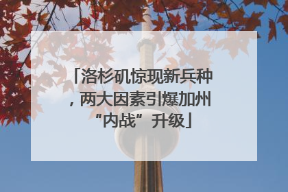 洛杉矶惊现新兵种，两大因素引爆加州“内战”升级