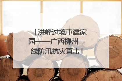 洪峰过境重建家园——广西柳州一线防汛抗灾直击