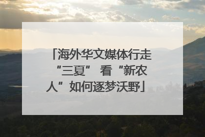 海外华文媒体行走“三夏” 看“新农人”如何逐梦沃野