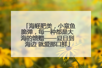 海蛏肥美，小章鱼脆弹，每一种都是大海的馈赠——夏日到海边 就爱那口鲜