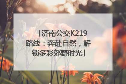 济南公交K219路线：奔赴自然，解锁多彩郊野时光
