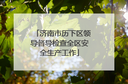 济南市历下区领导督导检查全区安全生产工作