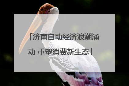 济南自助经济浪潮涌动 重塑消费新生态