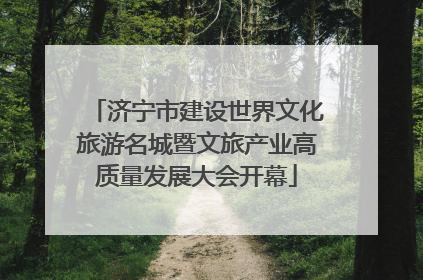 济宁市建设世界文化旅游名城暨文旅产业高质量发展大会开幕