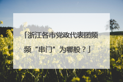 浙江各市党政代表团频频“串门”为哪般？