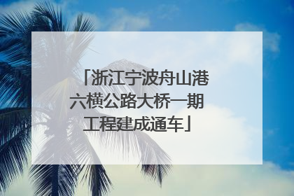 浙江宁波舟山港六横公路大桥一期工程建成通车