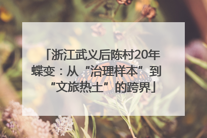 浙江武义后陈村20年蝶变：从“治理样本”到“文旅热土”的跨界