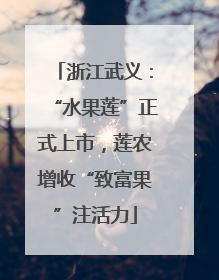 浙江武义：“水果莲”正式上市，莲农增收“致富果”注活力