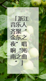 浙江音乐人齐聚“金东之夜”唱响“光南之曲”